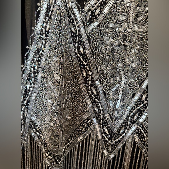 Unique Vintage Beaded and Embroidered Flapper Dress - Picture 6 of 11
